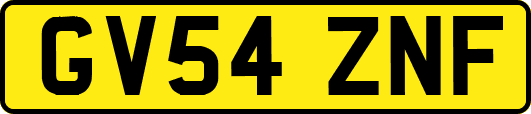 GV54ZNF