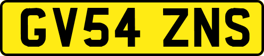 GV54ZNS