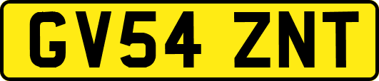 GV54ZNT