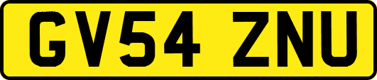 GV54ZNU