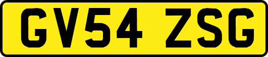 GV54ZSG