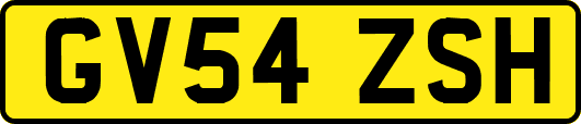 GV54ZSH