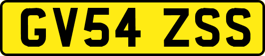 GV54ZSS