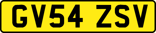 GV54ZSV
