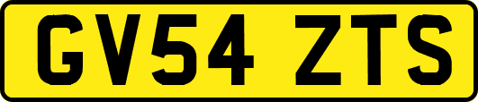 GV54ZTS