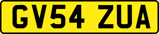 GV54ZUA