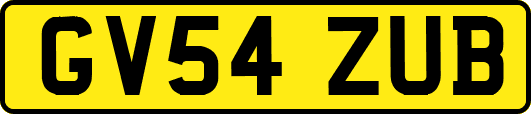 GV54ZUB