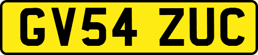 GV54ZUC
