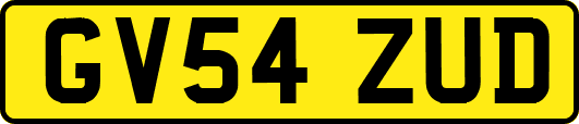 GV54ZUD