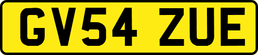 GV54ZUE