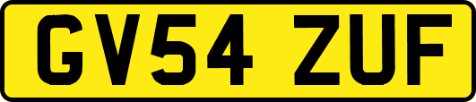 GV54ZUF