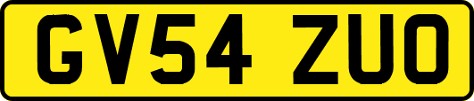 GV54ZUO
