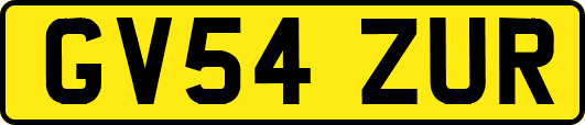 GV54ZUR