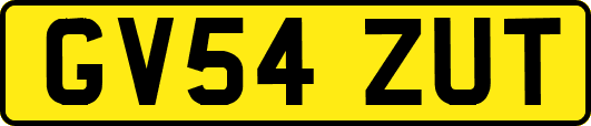 GV54ZUT