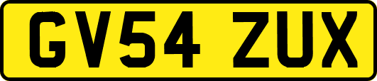 GV54ZUX