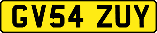 GV54ZUY