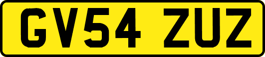 GV54ZUZ