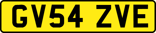 GV54ZVE