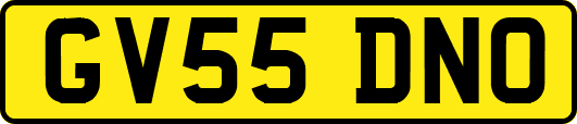 GV55DNO