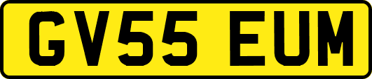 GV55EUM