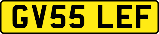 GV55LEF