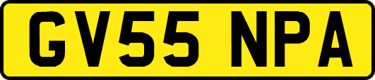 GV55NPA