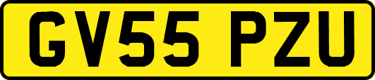 GV55PZU
