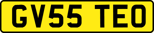 GV55TEO