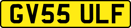 GV55ULF