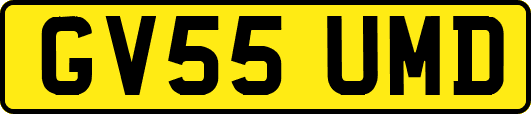 GV55UMD