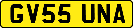 GV55UNA