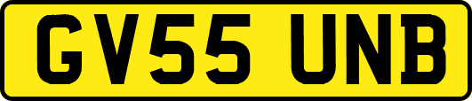 GV55UNB
