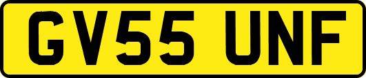GV55UNF