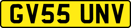 GV55UNV