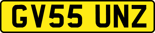 GV55UNZ