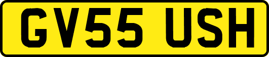 GV55USH