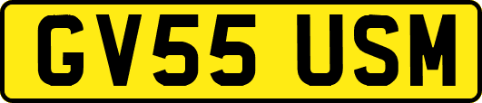 GV55USM