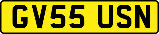 GV55USN