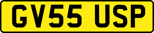 GV55USP