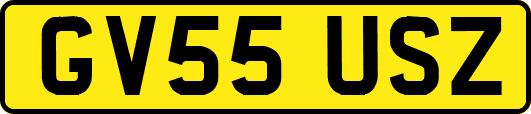 GV55USZ