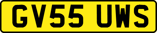 GV55UWS