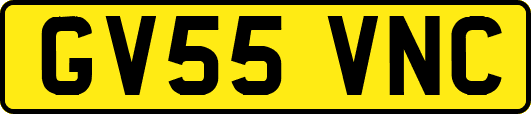 GV55VNC