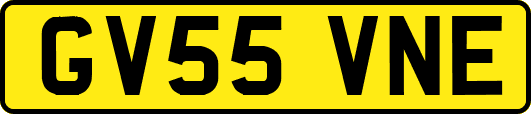 GV55VNE