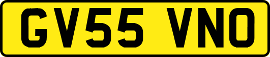 GV55VNO