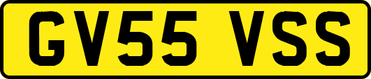 GV55VSS