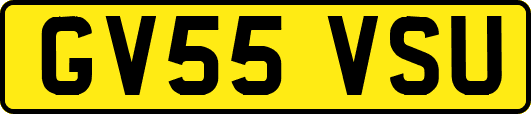 GV55VSU