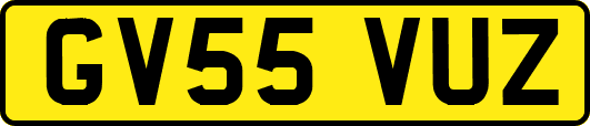 GV55VUZ