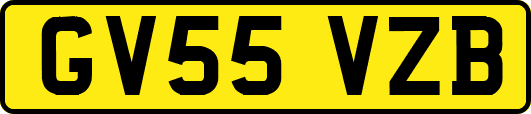 GV55VZB