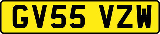 GV55VZW