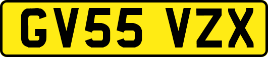 GV55VZX